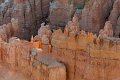 20121003-Bryce Canyon-0057